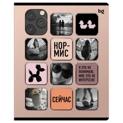 Тетрадь 48л., А5, клетка BG "Стикеры", конгрев, выб.лак Т5ск48_к_вл 08522