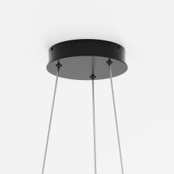 Люстра подвесная светодиодная Maytoni Rim MOD058PL-L32BK