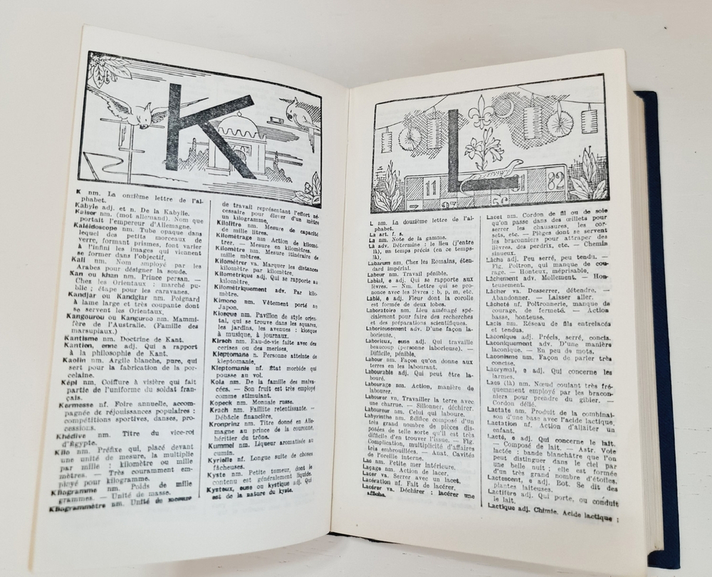 Dictionnaire francais illustre: Lettres ornees de Claudel: Parties grammaticale, historique, geographique (Иллюстрированный французский словарь: витиеватые письма Клоделя: грамматическая, историческая, географическая части), A.Rozoy, Mayer Roger