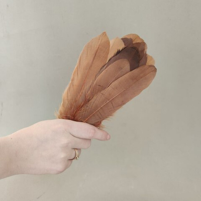 Гусиные перья коричневые 2 сорт 100 шт.