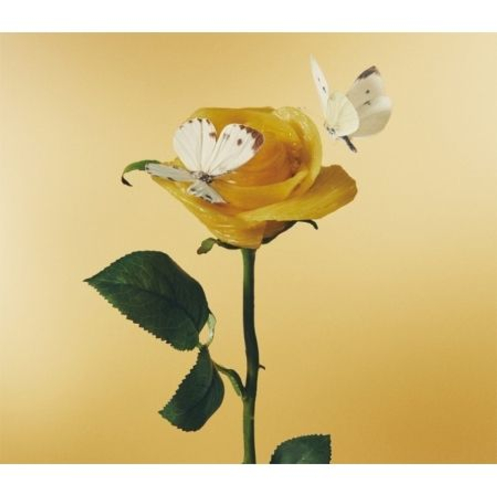 Альбом AIMYON - Heard THAT THERE'S GOOD PASTA LIMITED Edition 2CDs