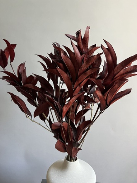 Ветки цитрусового дерева бордовые