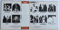 Винтажная виниловая пластинка LP The Suzi Quatro Story Golden Hits (Japan 1975) (Obi) I May Be Too Young