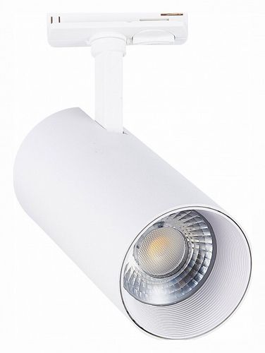 Трековый светильник ST-Luce ST350.546.30.24