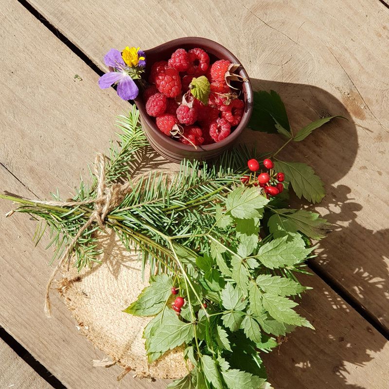 Горная малина ферментированная