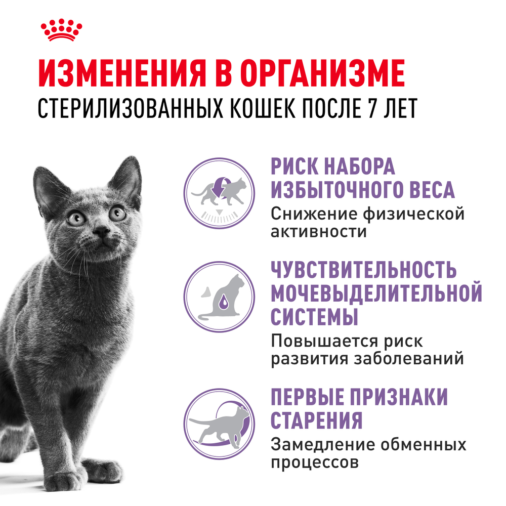 Royal Canin Sterilised 7+ Корм сухой сбалансированный для стерилизованных кошек 3,5 кг