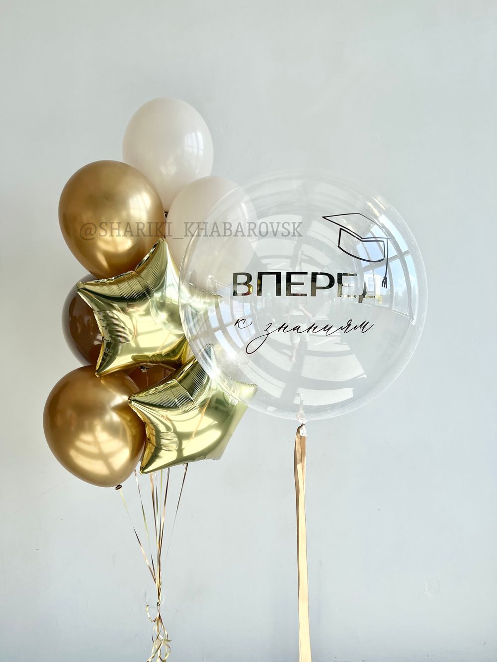 Воздушные шары на 1 сентября «Вперёд к знаниям» №1/76  Изображение2