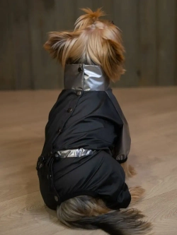 Комбинезон для мелких и средних собак