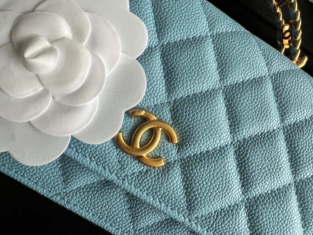 Chanel Bag 19 cm