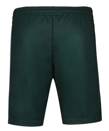 Теннисные шорты Le Coq Sportif Tennis Pro Short 24 N°2 - green