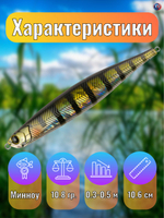 Воблер TsuYoki RODGER 106F 123