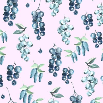 черная смородина