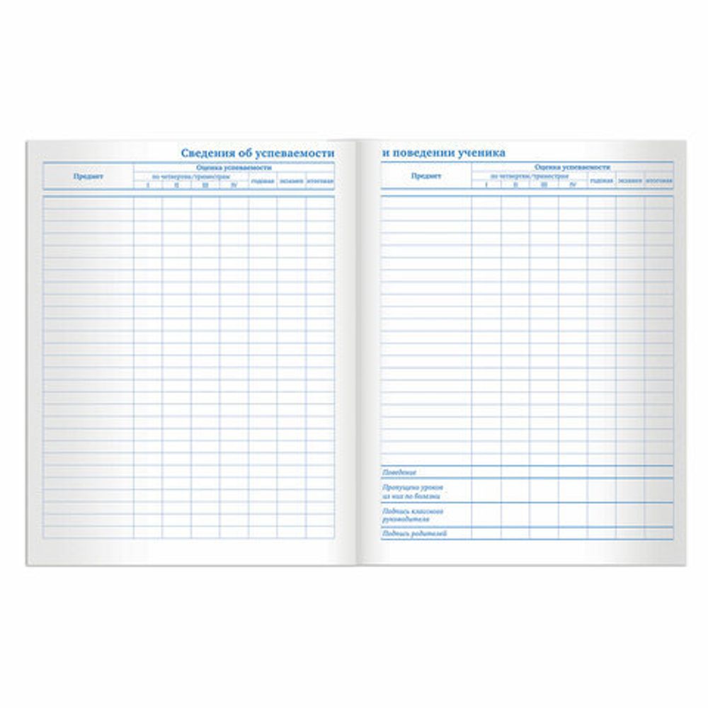 Дневник 5-11 класс 48 л., твердый, BRAUBERG, выборочный лак, с подсказом, "Лемур", 105592