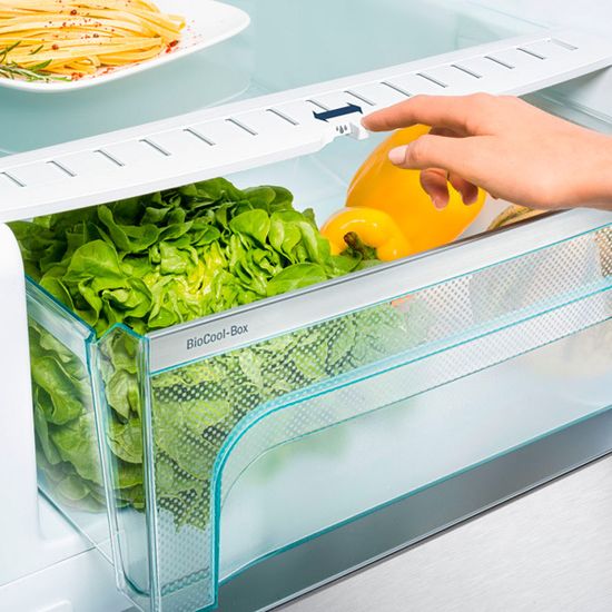 Холодильник Liebherr CNPes 4868