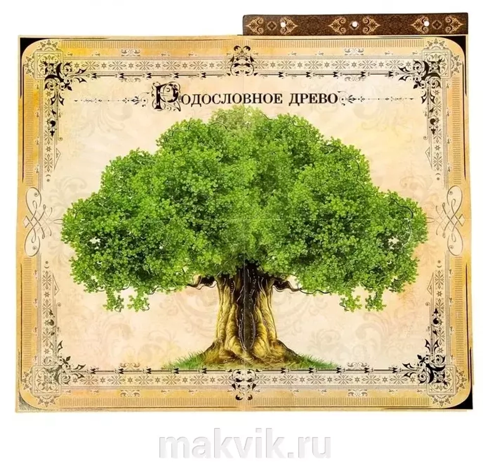 Родословная книга с рамкой под фото Семейная летопись