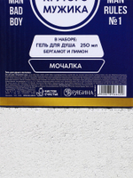 Подарочный набор «Экстра мужик»: гель для душа 250 мл и мочалка для тела, Чистое счастье
