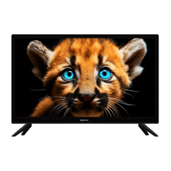 Телевизор Topdevice 24'' TDTV24BS01H_BK (HD / VA / Smart WildRed / 1-8Gb / Black)