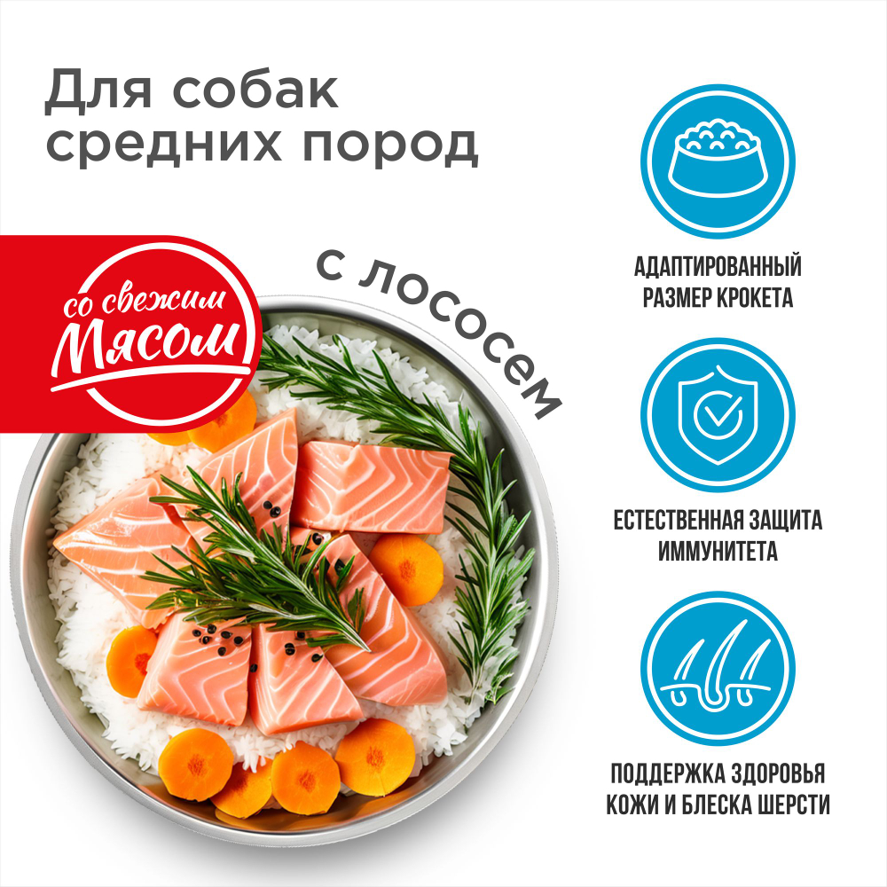 Корм сухой для взрослых собак средних пород, премиум полнорационный сбалансированный, с лососем, 2,5 кг, QUATTRO