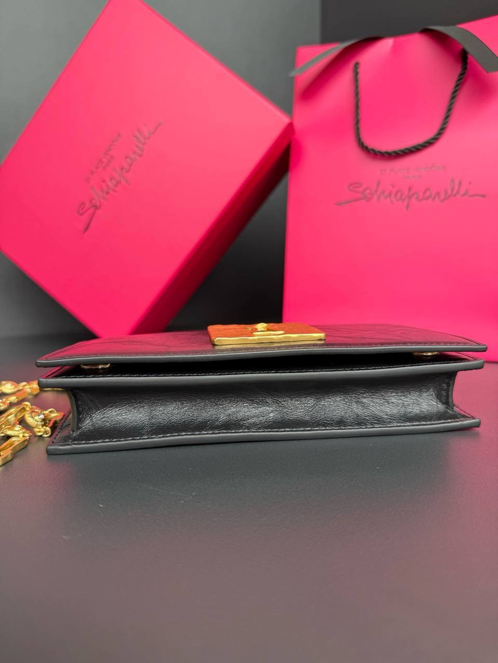 Сумка Schiaparelli