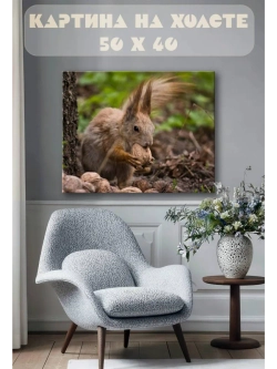 Картина на стену 40 X 50 Белка
