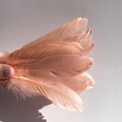 Гусиные перья спелый абрикос 2 сорт 20 шт.