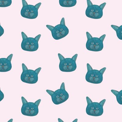 смешные морды котов на розовом фоне