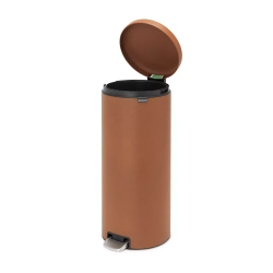 Brabantia - NewIcon Контейнер для минеральных отходов с корицей, 30 л. / артикул   304569  / GTIN 8710755304569