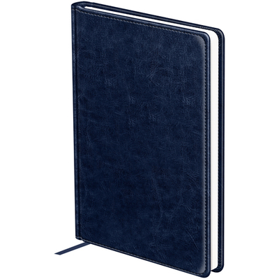 Ежедневник "Nebraska. Blue" А5, 160л, недатированный