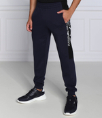 Спортивные штаны EA7 - темно-синий(6LPP80 PJFGZ)