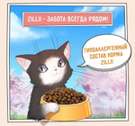 Корм для котят сухой ZILLII Kitten 2кг, с индейкой и ягнёнком