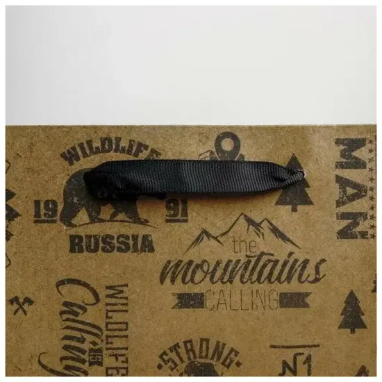 Пакет подарочный крафтовый вертикальный, упаковка, «For real man», ML 23 х 27 х 11.5 см