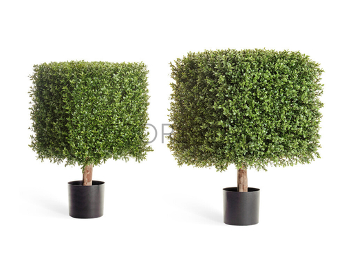 Самшит квадрат уличный новый на каркасе в-72 см, 48х48 см 1/1 10.44703N