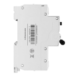 11838ec9-0978-4721-8efe-de9b13028245_478854996.jpg