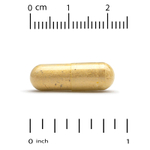 Super Nutrition, Akkermansia 30B PLUS, аккермансия с фосфолипидной матрицей с берберином и олеилэтаноламином, 60 растительных капсул