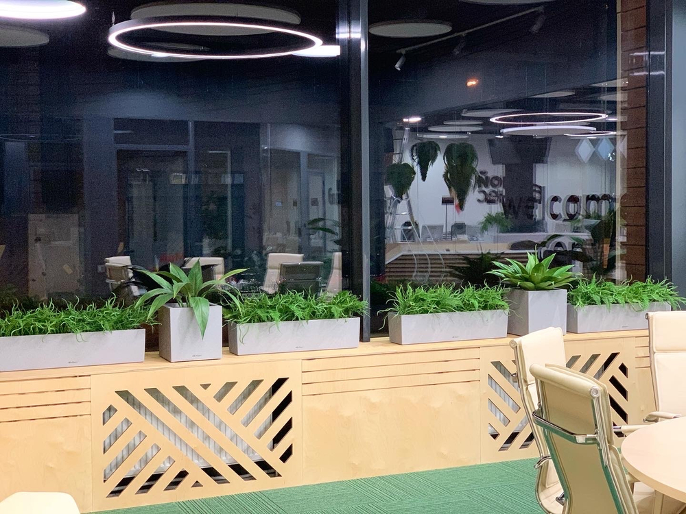 20.05. Озеленение искусственными растениями офисного пространства "Фонда развития бизнеса Краснодарского края в инновационном центре "Аквариум"