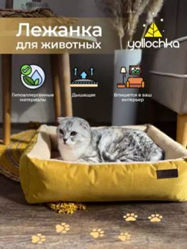 Домашним животным
