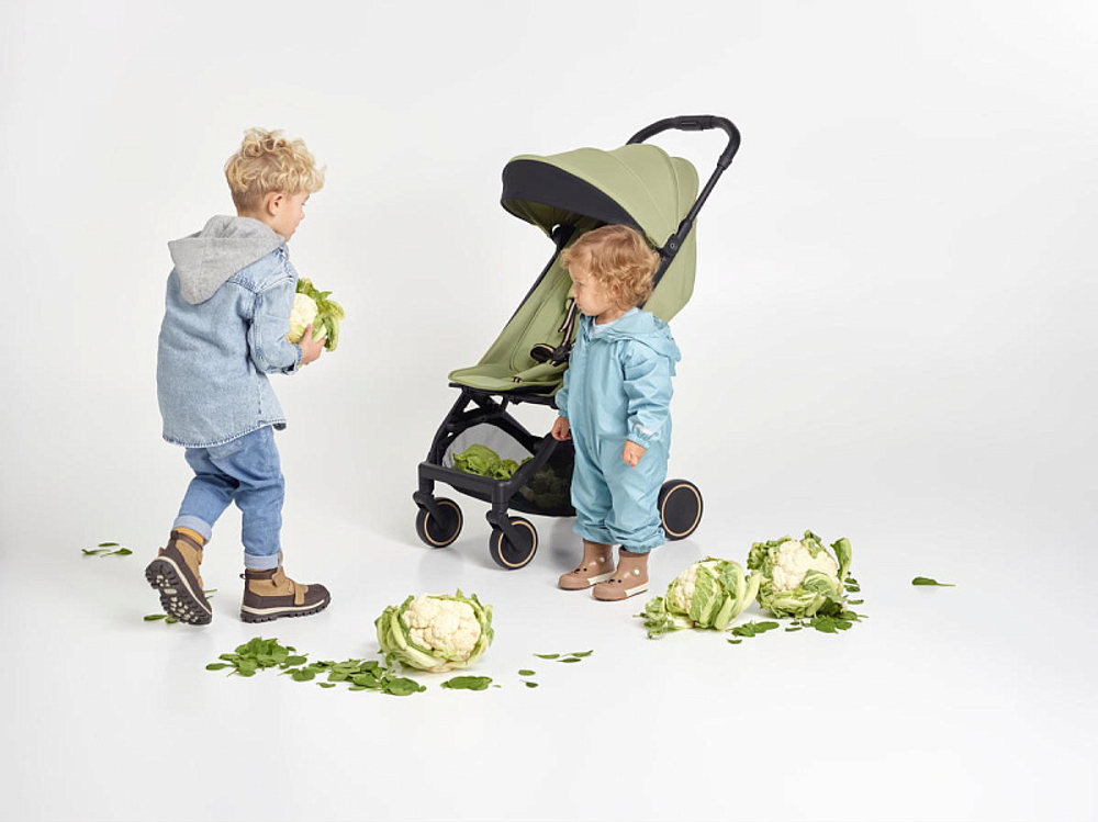 Детская прогулочная коляска Anex Air-X2 Vert