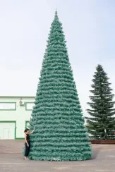 Уличная елка Испанская изумрудная 7 м., каркасная, ПВХ, Green Trees (GT7ISPVCBL)