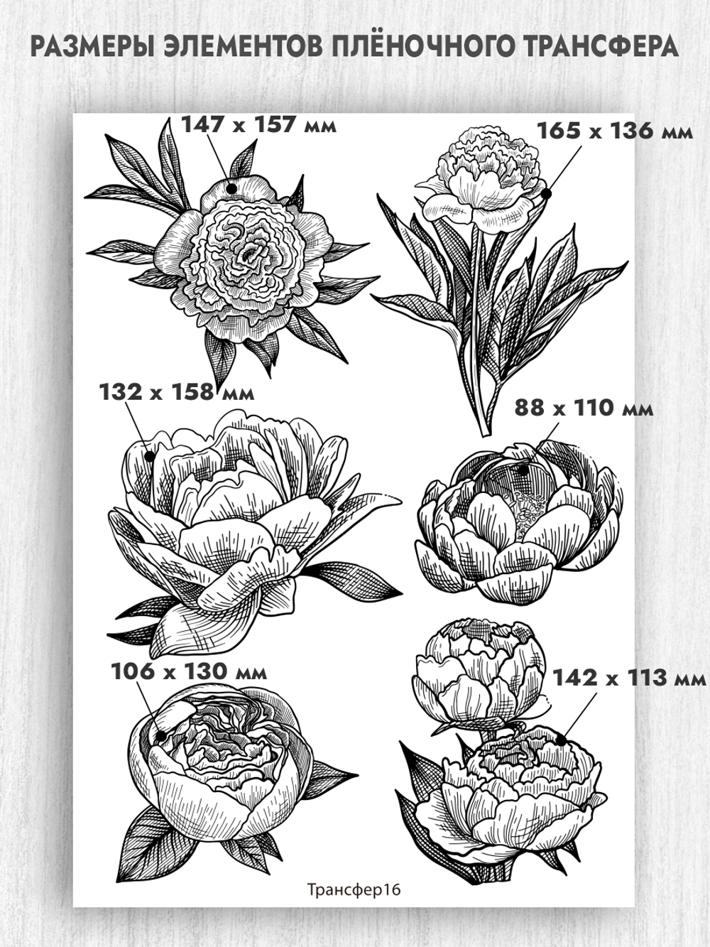 Трансфер для декупажа переводной рисунок для поверхностей пион 016