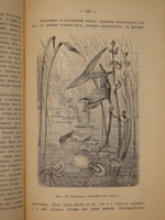 "Аквариум любителя. Подробное описание флоры и фауны аквариума, устройство аквариума, уход за ним и пр.". Н.Ф.Золотницкий. 1890г.