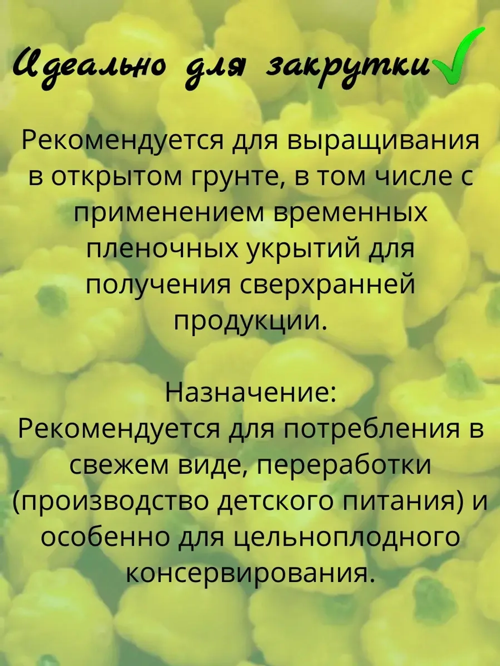 Семена Патиссон "Сани Делайт" 5 шт