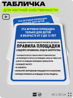 Табличка для частной территории "Это игровая площадка только для детей от 5 до 12 лет", на дом, для участка, организаций и частных территорий, 40х30 см, Silver Plane x Айдентика Технолоджи