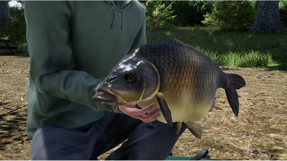 Fishing Sim World: Pro Tour - Giant Carp Pack (для ПК, цифровой код доступа)