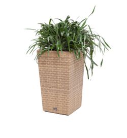 "Капучино" кашпо для цветов плетеное из искусственного ротанга, цвет соломенный