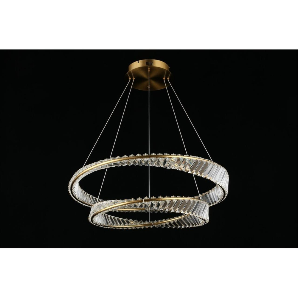 Подвесная светодиодная люстра Aployt Olimp APL.045.03.65