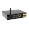 Premiera Mini Amp Black
