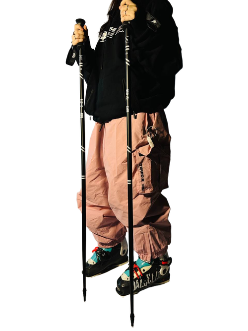 Палки горнолыжные DFS 24-25 Ray Black