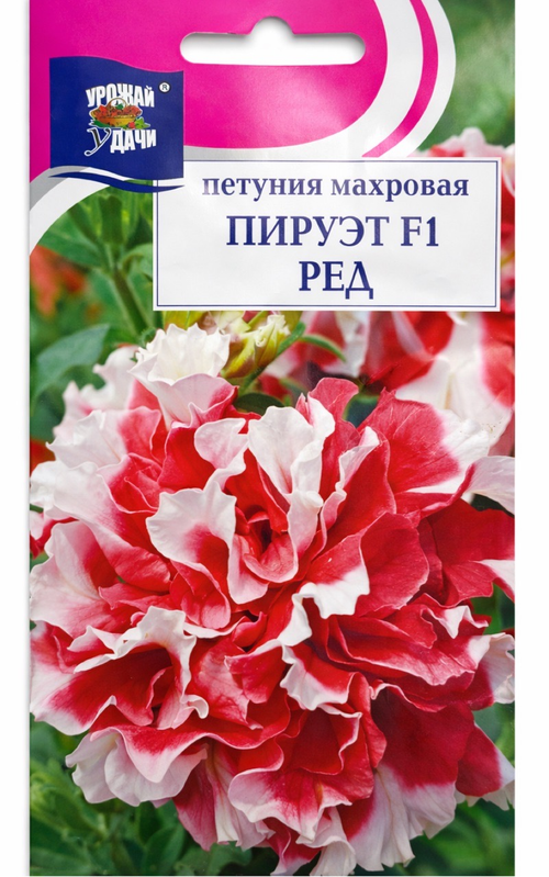 Петуния Пируэтт Рэд , 10шт., Урожай Удачи СМЦ-156