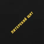 Футболка Питерский щит Кольца черная