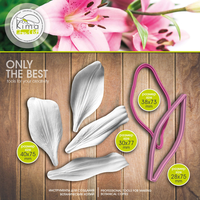 Лилия средняя набор